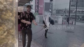 Funny moment Typhoon Hagibis destroys tourists' umbrellas in Tokyo
