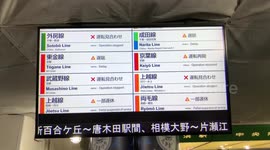 Typhoon Hagibis causes travel disruption around Tokyo