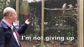 Kookaburra comedy? Man tries to get cackling birds at Birmingham zoo to laugh