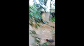 The battle between the duck and the chicken