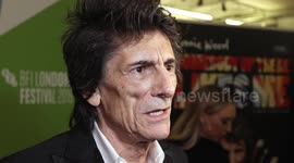 Ronnie Wood on 'Somebody Up There Likes Me', the Rolling Stones, Damien Hirst, addiction, rehab, London Film Festival, documentary, Mike Figgis