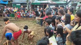 Crazy Village Game Where Kids Catch Piglet While Blindfolded