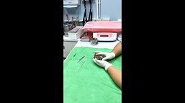 Thai woman adopts injured toad and nurse it back to health