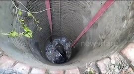 Firefighters rescue beast of a bull from 40ft well in India