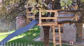 Tree house in urban city