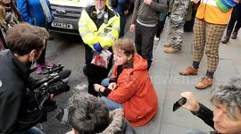 Extinction rebellion protestors arrested in Whitehall