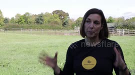 Couple transform their seven-acre home and set up snail retailers