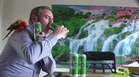A man and his cute bird having a beer.