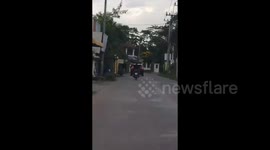 Dog rides pillion on motorcycle