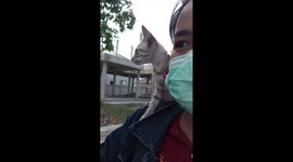 Kitten rides on owner's shoulder on motorcycle