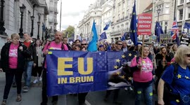 The People's vote march