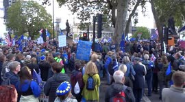 People's Vote marchers sing
