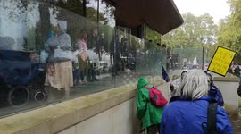 Heavy Rain Hits The Peoples Vote March