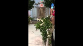 Dog's entrance to our wedding!