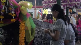 Superstitious locals worship tree trunks to choose their next lottery numbers