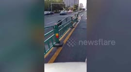 Wild boar spotted running wrong direction down Chinese road