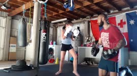 7 year old Australian boxer