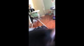 Puppy and baby playing!