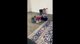 Kitten Plays Hot Wheels with Adorable Toddler