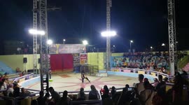 Guy Survive Deadly Cobra Snake In World Night Circus