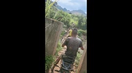 Scooter riders in northwest Vietnam risk lives to cross rickety wooden bridge after floods
