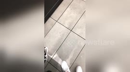 Further footage shows blood stains on floor as police respond to multiple stabbings in Greater Manchester