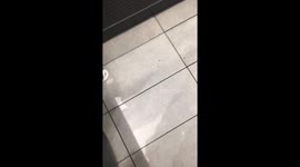 MANCHESTER STABBING HARPURHEY MCDONALDS