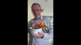 A cute parrot sharing a bowl of corn flakes with a man, bites his finger.