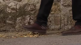 autumn walk slow motion