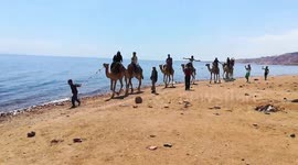 Camel Ride Journey In 3 Pools  Dahab Trip