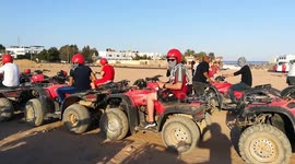 Safari Race Time Summer Fun Time