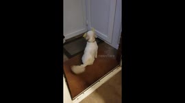 Mindy waiting with her favorite toy Yella, waiting for Mum to come in