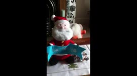 Mindy and tiger video bombed xmas song, very rude Mindy...who taught you that