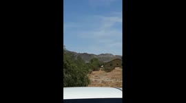 Az ufo
