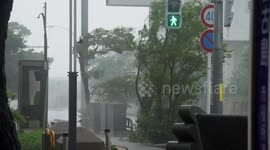 Trees Thrash Wildly In Powerful Hurricane Wind