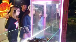 Seafood restaurant  in Singapore apologises for using live crab claw machine
