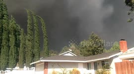 Tick Fire at Abelia Road