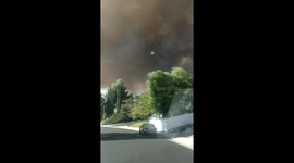 Driving down Lotusgarden Drive