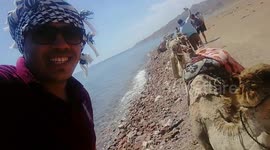Tourist Footage Camel Smile Dahab Trip