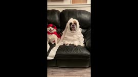 When your friend forces you to dress up for a party...