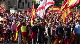 Fascist salutes and Franco flags at far-right Vox rally in Madrid