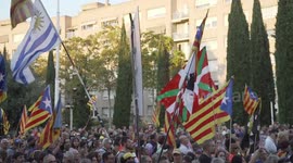 Catalonian Flags at march