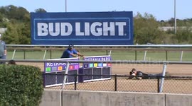 Dachshund Races 1