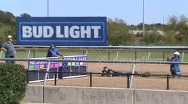 Dachshund Race 2
