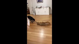 Lazy tug of war