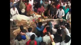 Indian villagers allows themselves to be trampled by stampeding cattle for post-Diwali festival