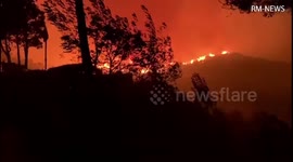 Brush fire in Brentwood hights