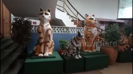 World's 1st Cat Museum In Kuching Malaysia