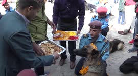 Police in Nepal honour doggy detectives for their service on holy day
