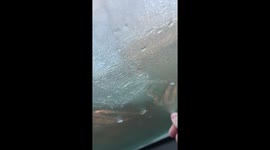 Ice forms on inside car windscreen
